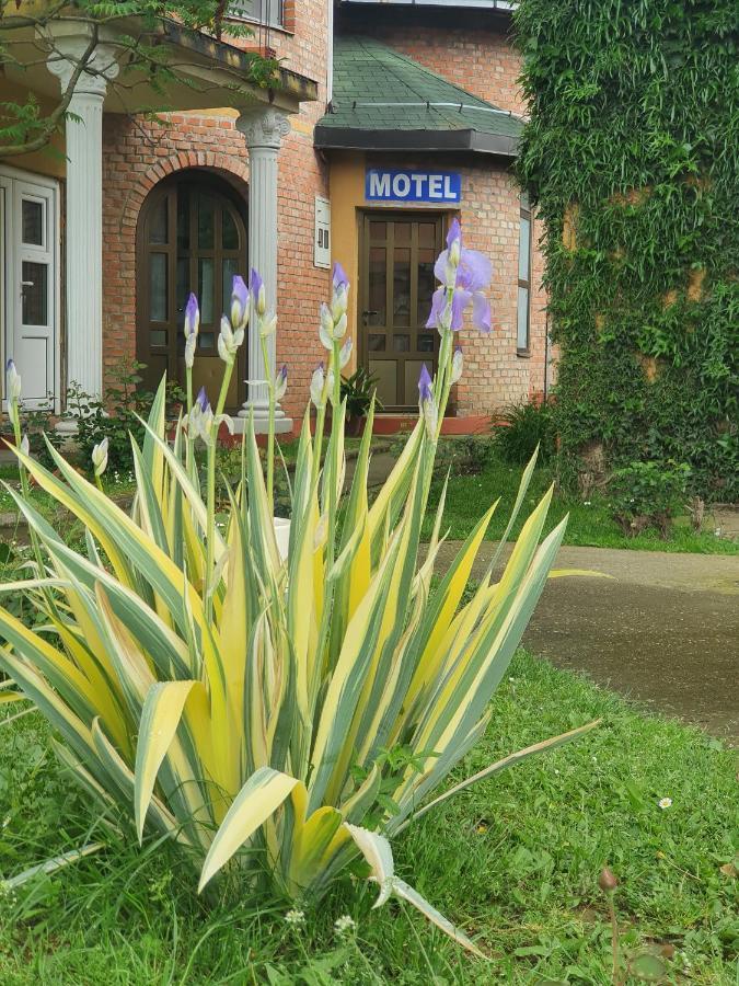 Motel Zoka Dvorovi Bagian luar foto
